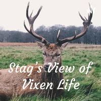 stag vixen stories|Stag’s View of Vixen Life.